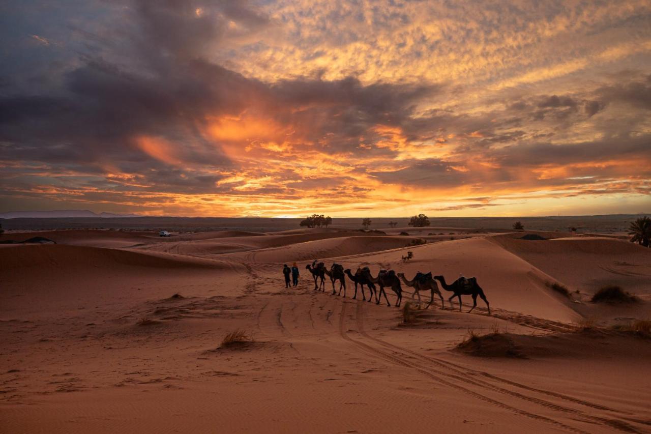 Paradis Du Sahara メルズーガ エクステリア 写真